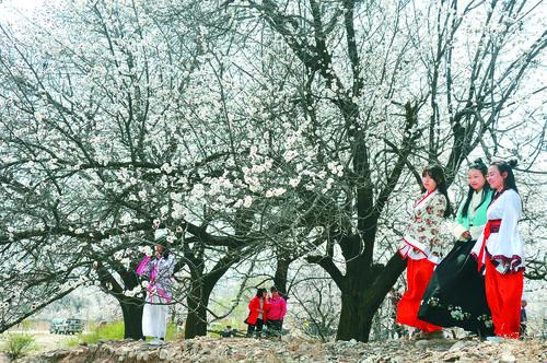 亚洲杯冠军奖杯与历届标志